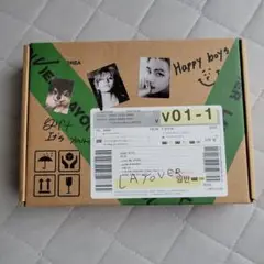 BTS テヒョン テテ V LAYOVER グリーン