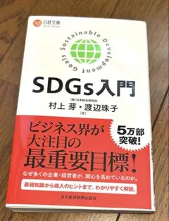 SDGs入門 村上真・渡辺珠子著