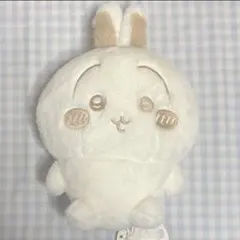 ちいかわ ぬいぱれっと～ミルクいろ～ ぬいぐるみ　うさぎ②