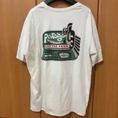 PATAGONIAパタゴニア アクアティック アクションオーガニック Tシャツ