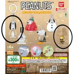 PEANUTS めじるしアクセサリー FUNNY ver.　2点