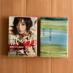 角田光代 文庫本2冊セット 紙の月 対岸の彼女