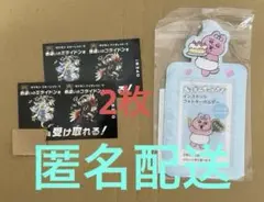 未使用　色違いミライドンコライドン2枚　＋　おぱんちゅうさぎトレカキーホルダー