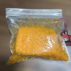 taonini スクイーズ 揚げバター　サクサク