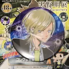 ☆ 天野明展　リボーン　REBORN!　コレクション缶バッジA　バジル