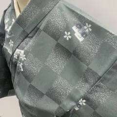 R1⭐️洗える着物　小紋　着物　単衣　逸品　広襟