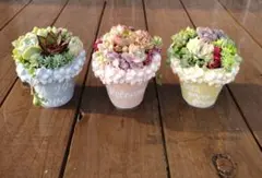 ❀そのまま飾れる多肉植物寄せ植え ❀3点セット フラワーポットのサムネイル