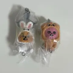 StrayKids SKZOO つまんでつなげてますこっと ガチャ