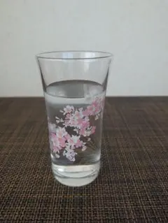 Item thumbnail for item 6f44a381-cc3c-4563-a8de-2f724c2ee902