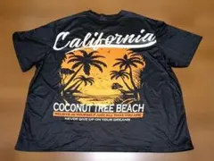 メンズTシャツ新品　BIG