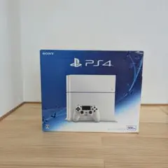 【動作確認済】PS4 本体 500GB