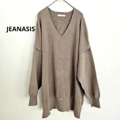 JEANASIS ジーナシス Vネック ニット 長袖 モカ Fサイズ