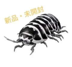 Item thumbnail for item 155ff8be-a910-4985-bdc4-e84eb66ec5fe