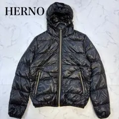 HERNO ヘルノ ダウンジャケット フード付 メンズ 46