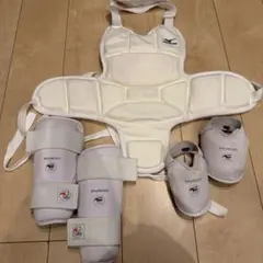 若*将様 Nike キャッチャー用プロテクター 青/白 若*将様 Nike キャッチャー用プロテクター 青/白 - メルカリ