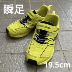 瞬足★19.5cm