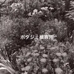 希少✨ヴィンテージ KENZO 花柄 シャツ ブラウス M 日本製 - メルカリ