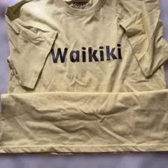 VANS 青色 タイダイ Tシャツ キムタク 私物 - メルカリ