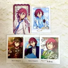 2025年最新】七種茨 ぱしゃっつ 中国の人気アイテム - メルカリ