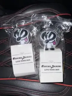 89k.様専用なにわ男子2025BONBONVOYAGEペンライト2本セット