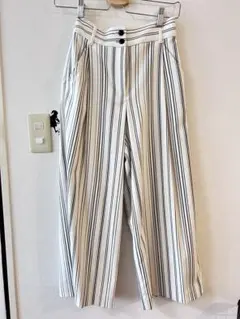 PLST ワイドパンツ　X S