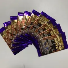 新品未開封　2024/25 Panini Haunted Hoops 10パック