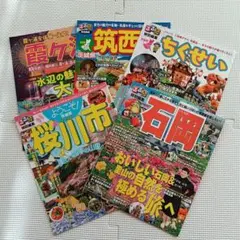 Item thumbnail for item 7e5be8cc-f416-474d-ab62-25816b0ef7e5