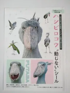 女性セブン 最新号 付録【ハシビロコウ 動じないシール】です。