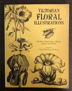 Victorian Floral Illustrations