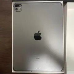 Apple ipad pro 第2世代 Wi-Fi + Cellular