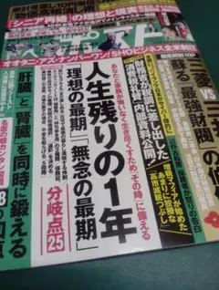 週刊ポスト　2026年4月10日号のサムネイル