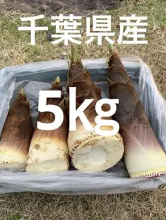 【朝掘り】 10kg 当日発送 福岡県 八女市 立花産 たけのこ 八女　筍 朝掘り】 5kg 当日発送 福岡県 八女市 立花産 たけのこ 八女 筍 - メルカリ