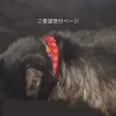 ブレスレットや連材 その他パーツ等 在庫確認ページ