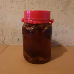 奈良県吉野山系吉野で採取りした天然物ツルニンジン酒5Ｌ入り 奈良県吉野山系吉野で採取りした天然物ツルニンジン酒5L入り
