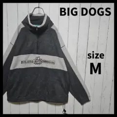 【BIG DOGS】 ハーフジップフリースプルオーバー　ヴィンテージ　E920