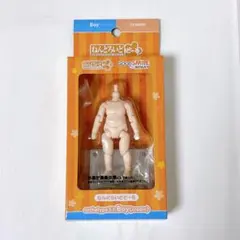 ねんどろいどどーるボディ archetype 11 Boy cream