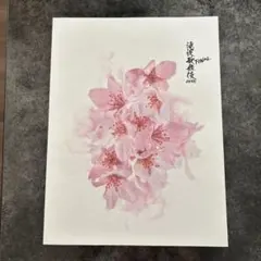 滝沢歌舞伎ZERO パンフレット　SnowMan