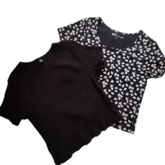 【2枚セット】ユニクロ リブクロップド Tシャツ PAUL&JOE 花柄 半袖