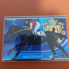 2025年最新】オーナーズホースの人気アイテム - メルカリ