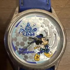 レア 東京ディズニーランド 限定 シンデレラ城 腕時計 ウォッチ