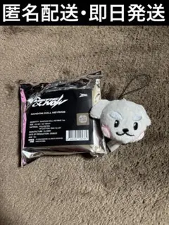 zb1 ゼベワン ランダムドールキーリング ゴヌク ゴニニ