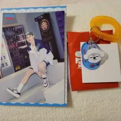 Straykids スキズ バンチャン wolfchan まとめ売り Straykids スキズ バンチャン wolfchan まとめ売り Straykids