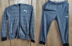 PUMA プーマ パーカー パンツ 上下セット ジャージ セットアップ