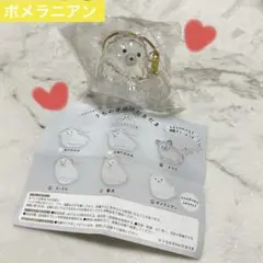 うちの子のけだまだま ポメラニアン ガチャ 犬のけだまだま　新品未開封品