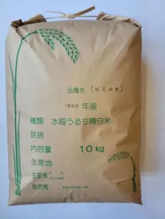 特A 令和7年産 新米 1等米 さがびより 10キロ 玄米 贈答 農家直送 さがびより GW セール 米 10kg 白米 5kg×2袋 佐賀県産 令和7年産 10
