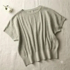 LAUTREAMONT 麻混 半袖 サマー ニット グレージュ系 (38/M)のサムネイル