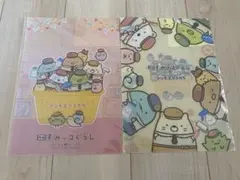 すみっコぐらし クリアファイル2枚セット マツキヨ