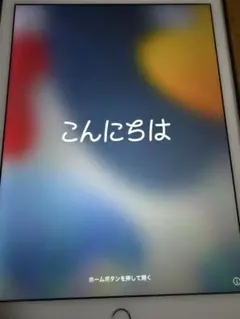 iPad Air2 64GB ゴールド 初期化済 動作確認済 ケース・フィルム付