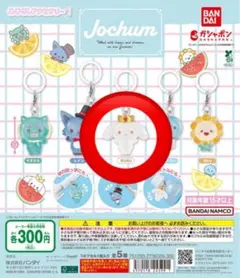 Jochum RURU めじるしアクセサリー