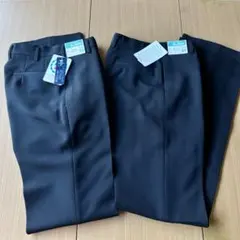 Item thumbnail for item 36af47df-82c3-41a9-9da9-e5b57600e706